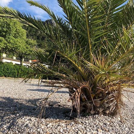 Villa Sabine Apartment Losinj Medveja Exteriör bild